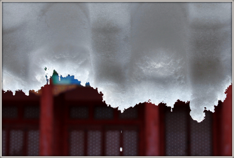 IMG_8636-001 춘설.JPG