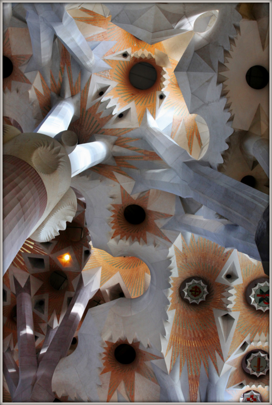 IMG_0374-001 숲.JPG