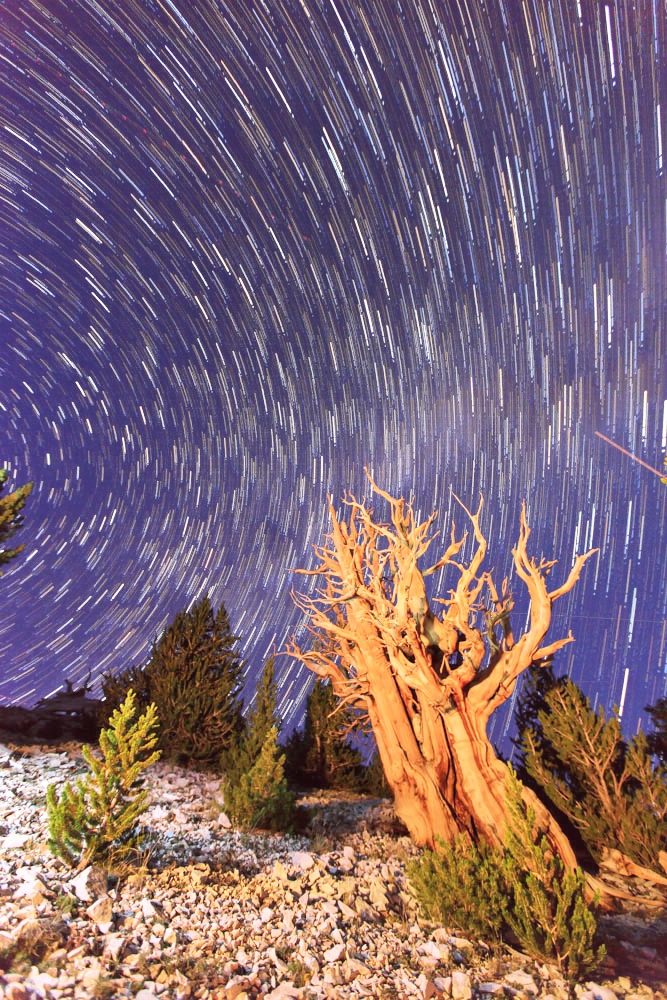 Startrails_1.jpg